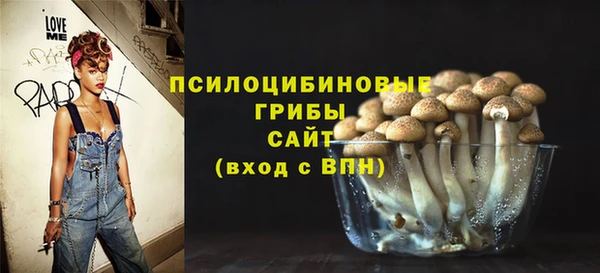 мдпв Беломорск